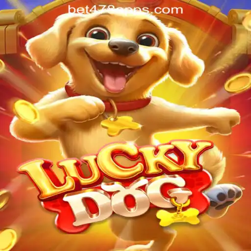 Unveiling the Excitement of LuckyDog: Your Guide to Bet478.com Oficial Slots Brasil #1