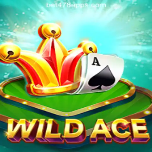 Explore WildAce: The Premier Gaming Experience at Bet478.com